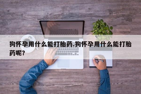 卖正品米非米索购买微信狗怀孕用什么能打胎药.狗怀孕用什么能打胎药呢？