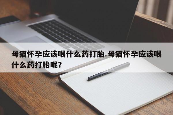 卖正品米非米索购买微信母猫怀孕应该喂什么药打胎.母猫怀孕应该喂什么药打胎呢？