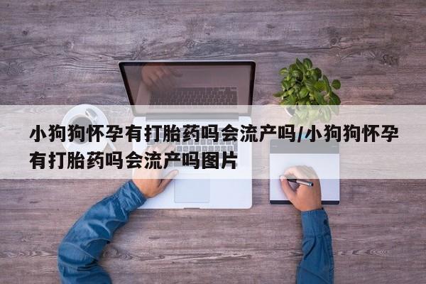 卖正品米非米索购买微信资讯 第17页