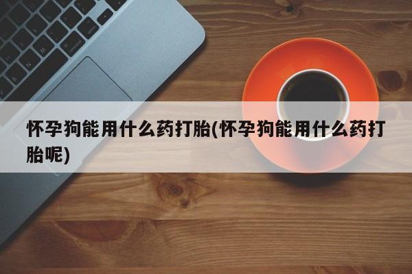 卖正品米非米索购买微信怀孕狗能用什么药打胎(怀孕狗能用什么药打胎呢)