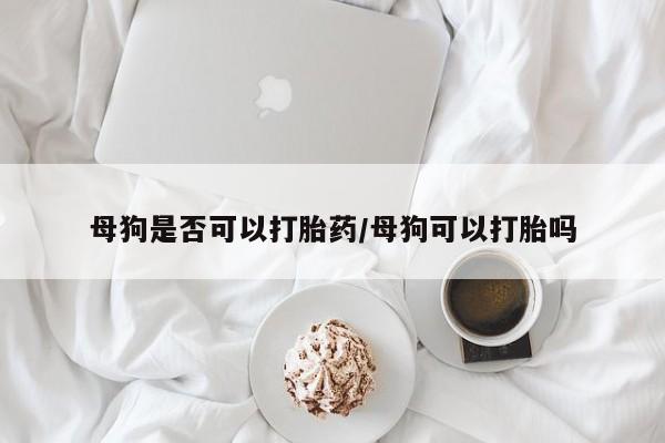 卖正品米非米索购买微信母狗是否可以打胎药/母狗可以打胎吗