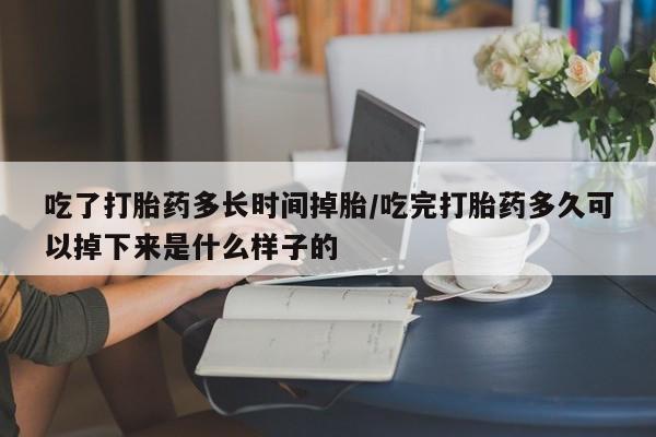 卖正品米非米索购买微信吃了打胎药多长时间掉胎/吃完打胎药多久可以掉下来是什么样子的