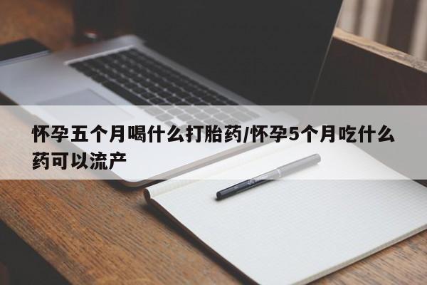 卖正品米非米索购买微信怀孕五个月喝什么打胎药/怀孕5个月吃什么药可以流产